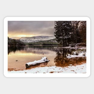 Loch an Eilean Sticker